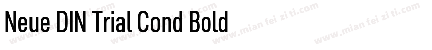 Neue DIN Trial Cond Bold字体转换